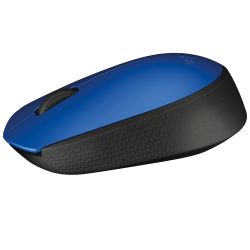 Mouse Logitech M170